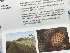 -微热山丘(台北民生公园门市店)