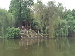 -雨湖公园