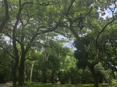 -晓港公园