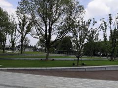 -葛仙湖公园