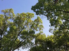 -海底捞火锅(天一广场亚细亚店)