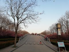 -洛阳市隋唐城遗址植物园