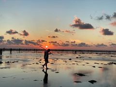 -北海金海湾红树林生态旅游区