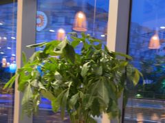 -鼎泰丰(嘉年华•海信广场VILLAGE店)