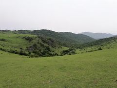 -大姆山草场