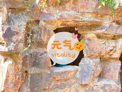 -无锡梅园公园