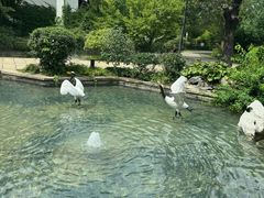 -广富林宰相府酒店·水云间