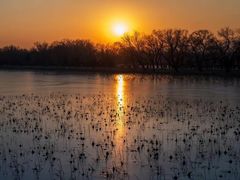 -北京世纪金源购物中心(远大路店)