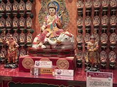 -新加坡佛牙寺龙华院