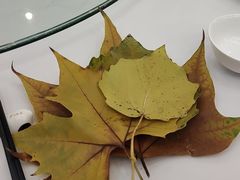 -眉州东坡(亚运村店)