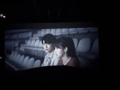 -中影嘉华国际影城(大芬星都里店)