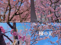 -静安雕塑公园