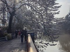-红星桥(地铁站)