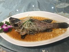 -祝家花園(伯渎港店)