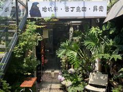 -吉丁鸟咖·异宠·寄养