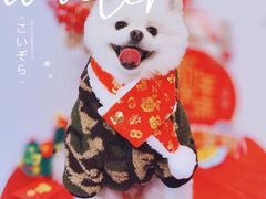 -佐罗家宠物馆·猫文化馆(紫霞路店)