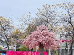 -盈香心动乐园