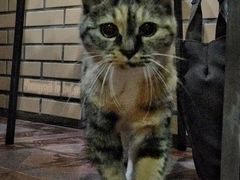 -老地方面馆(思南路店)