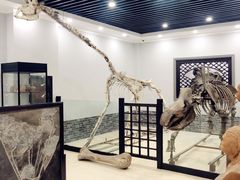-游龙石文化科普馆