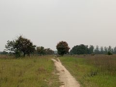 -汉长安城未央宫国家考古遗址公园