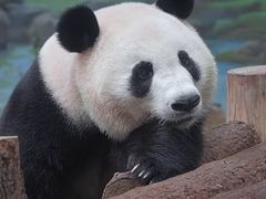 -杭州动物园