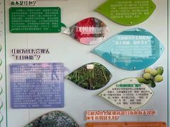 -北海金海湾红树林生态旅游区