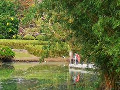 -白塘生态植物园