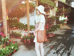 -桂林市花鸟市场