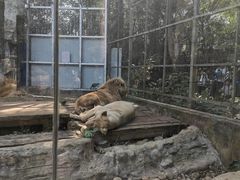 -南宁市动物园