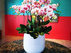 -石梅湾艾美度假酒店