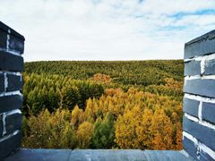 -塞罕坝国家级自然保护区