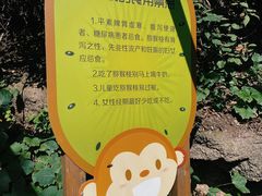 -大岭沟猕猴桃谷风景区