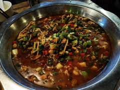 -老号尤兔头(幸福店)