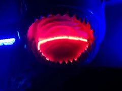 -芜湖新华联大白鲸海洋公园