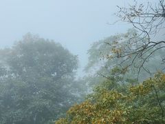 -终南山南五台景区