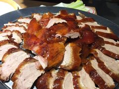 -守柴炉烤鸭(科华中路王府井店)