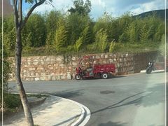 -世界恐龙谷景区