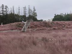 -嘉北郊野公园