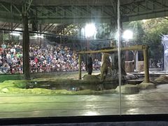 -清迈夜间动物园