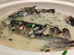 -老傅家湘潭水煮活鱼店(众一国际店)