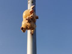 -膳博士·府宴餐厅(猪猪星球店)