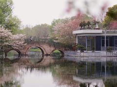 -上海共青森林公园