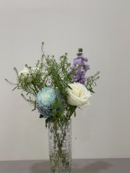 -苗方清颜专业祛痘·皮肤管理