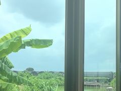 -隔田烧鸡