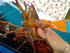 -港畔赶海蒸汽海鲜烧烤自助(仙螺岛店)