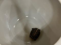 -九忠祥小笼馆(保利时光里店)
