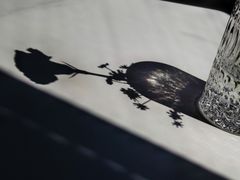 -顶特勒·黄鱼馆·特色菜(上海大世界店)