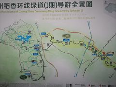 -桤木河湿地公园