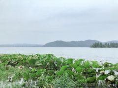 -东湖落雁景区