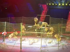 -珠海横琴长隆《卡卡虎奇遇记》